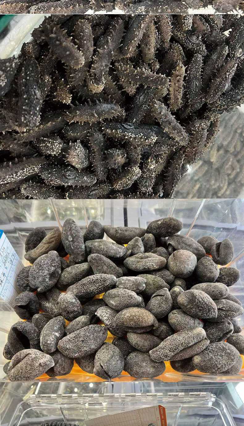 Dalian Dried Sea Cucumber Gift Box Premium Liaoning Lightly Dried Sea Cucumber 50g in use