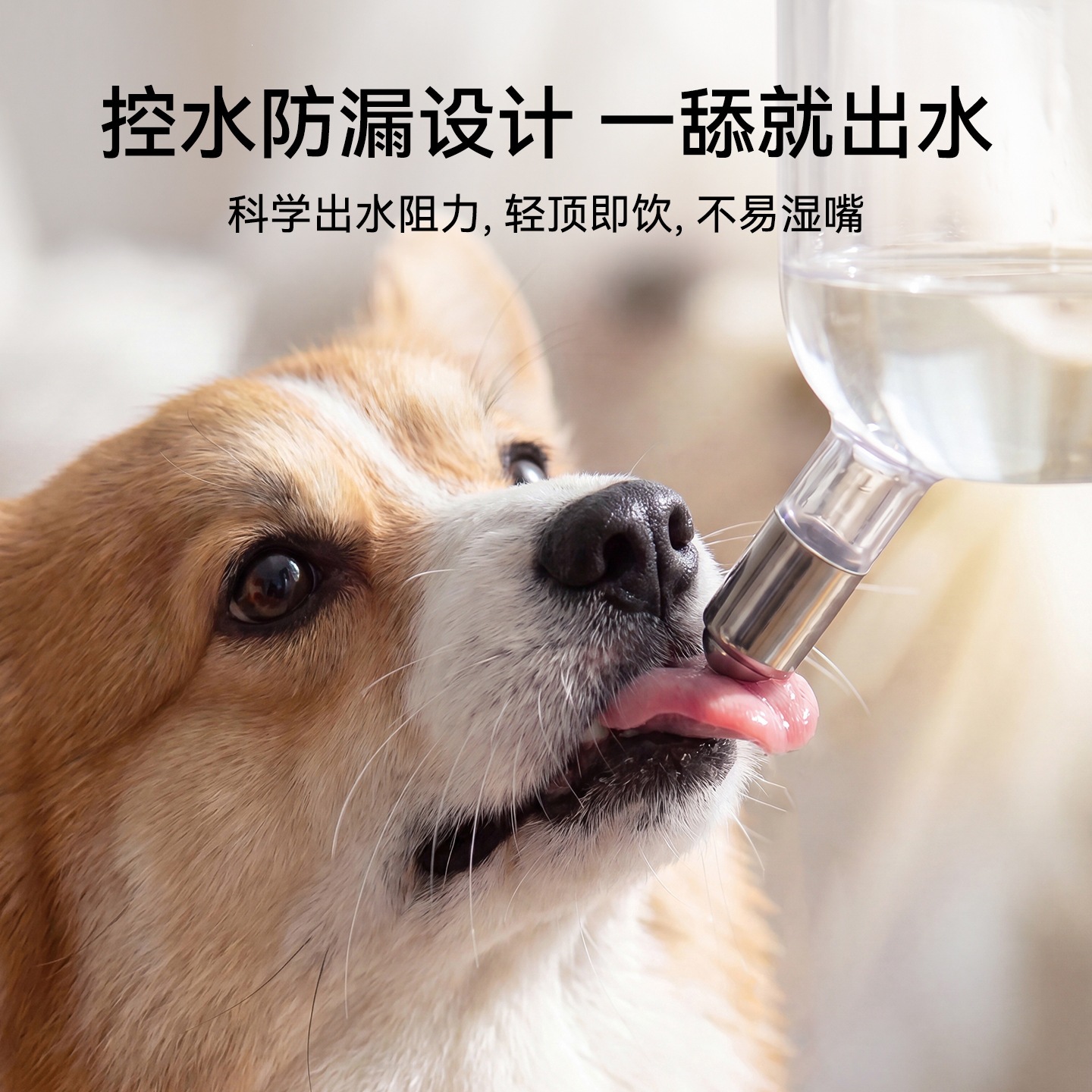 Alimentar de agua vertical para mascotas colgando jaula de suelo de doble propósito para gatos y perros con altura ajustable de cerámica de acero inoxidable