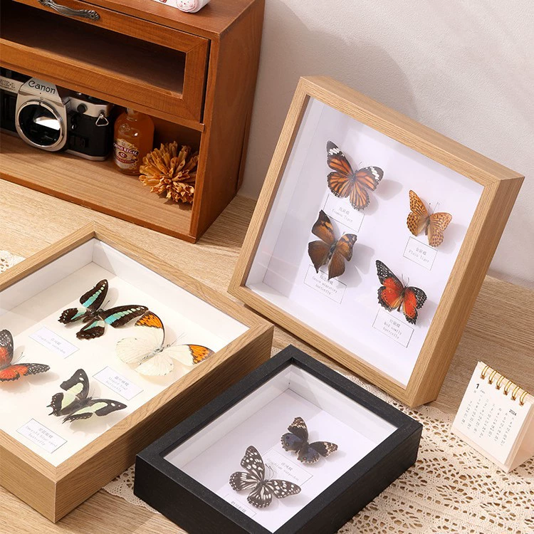 Полые фоторамки Weng Kai diy бабочка a4 насекомое стандартная коробка трехмерная рамка для сушеных цветов