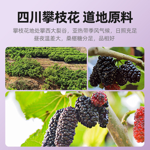[Qilixiang] Panzhihua dried black mulberries, hand-selected unsulfurized stubble mulberries bottled 200g new arrival mulberries