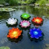 LED Lotus lotus lantern Clifford Wishing Lamp Aquatic Scenery Lighting Decorative lamp Battery Lanterns source factory