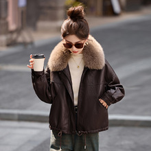 2025�����¿�r�Ќ��ɰٴ�p�gС����Ƥ�¼ӽq�Ӻ�d��Ƥë�I����