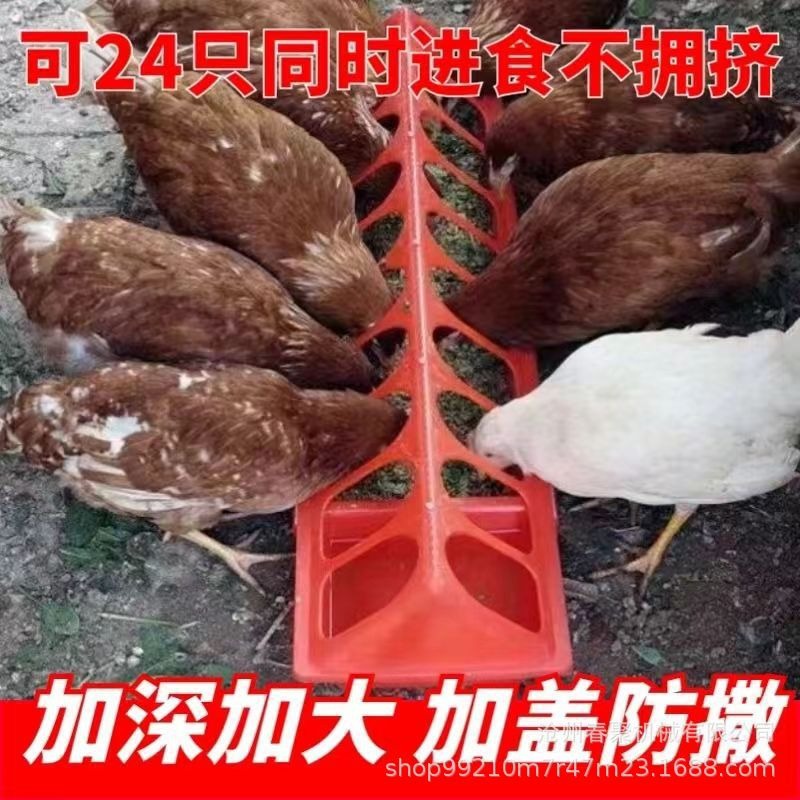 鸡鸭鹅食槽小鸡水料一体喂食盒喂料槽养鸡鸭防撒料耐用鸡用耐腐