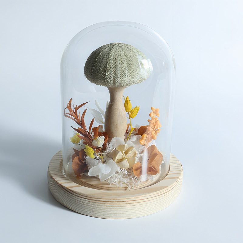 永生花小海胆玻璃罩情人节生日礼物送同学闺蜜女友云南玫瑰玫瑰花|undefined