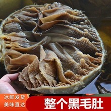 商用带底板整个黑白毛肚大叶片包邮冷冻火锅食材毛肚批发