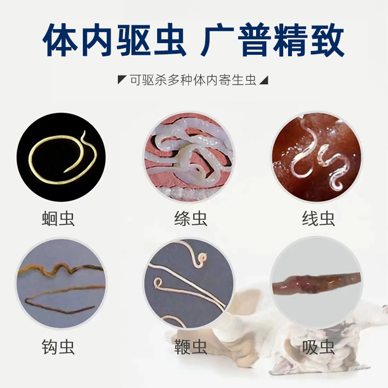 AIPOXING, repelente de insectos para gatos, insectos para perros, gatos, ascaris, mascotas, cachorros, perros, tabletas de fenendazol