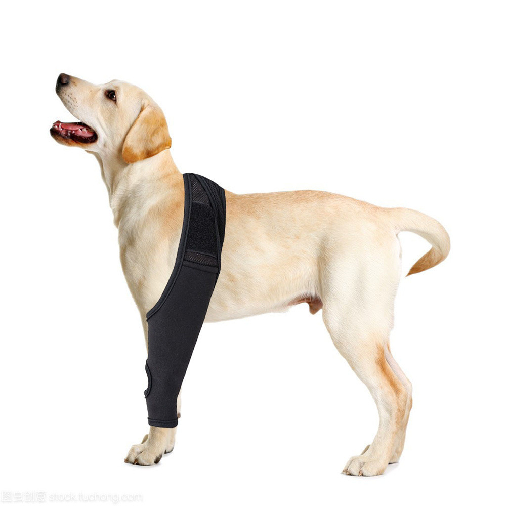 Dog Leg Fracture Protector Dog Knee Protector Dog Thigh Injury Protector Pet Front and Rear Leg Bracket Auxiliary Belt