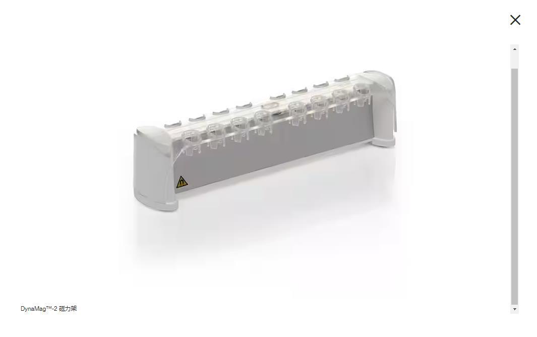 赛默飞DynaMag-2 磁力架蛋白分析试剂蛋白纯化磁性亲和分离颗粒