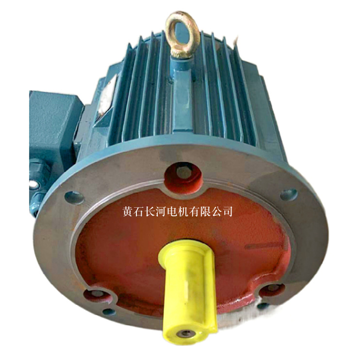 防水电机YCCL160L-4/15KW  支持一件代发