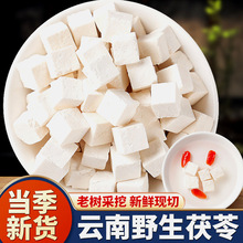 �������500g��Ʒ��ș�İ����߷۲�ʳ���͌������߉KҰ������Ş��