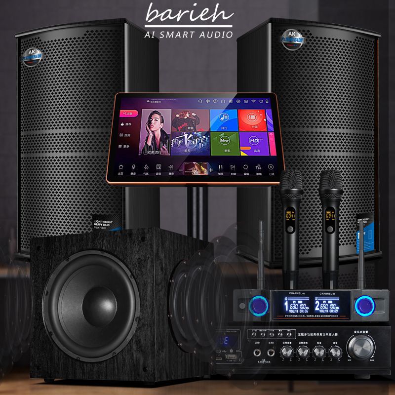 Barreh 12inch Home Ktv Audio Set Complete Karaoke Machine Home Karaoke Theater Professional Equipment