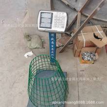 三状丝网深加工 浸塑捕鱼篓和植物保护罩