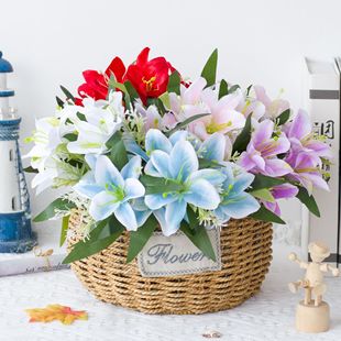 ����ٺϻ� 7�^��ٺϻ�c�zӰ�b� ���P�Ҿ������ҕ���[�� �ٻ�