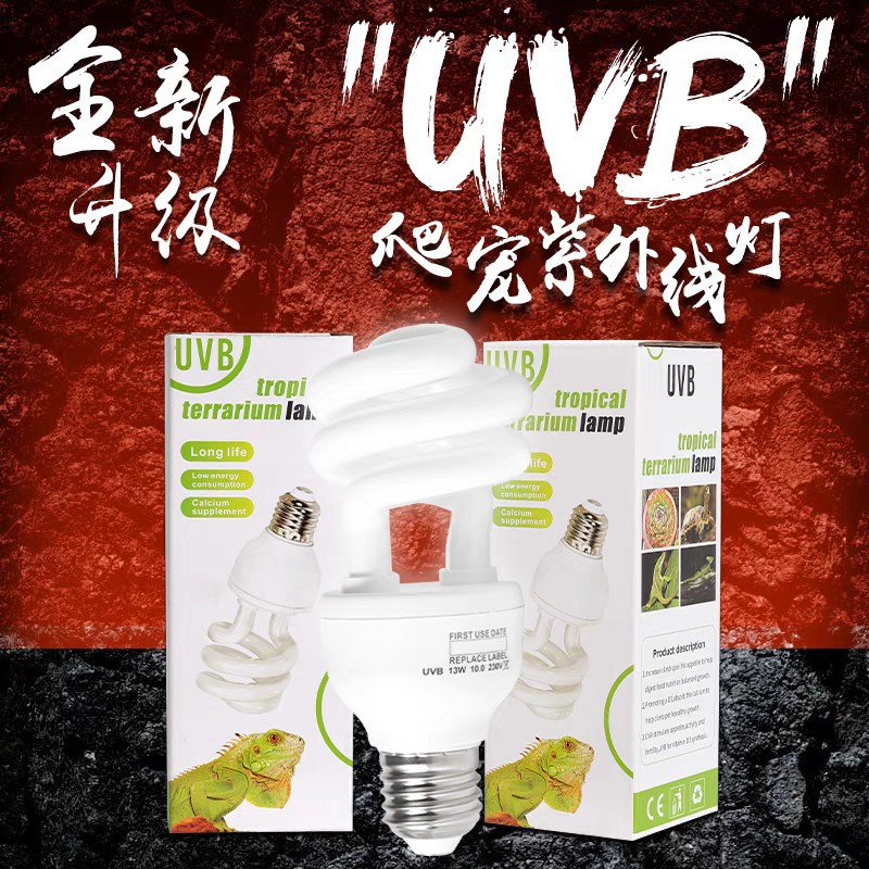 등산 애완 동물 먹이 상자 UVB 자외선 칼슘 램프 거북이 궁전 가드 도마뱀 즙이 많은 식물 거북이 항아리 램프 갈기 사자