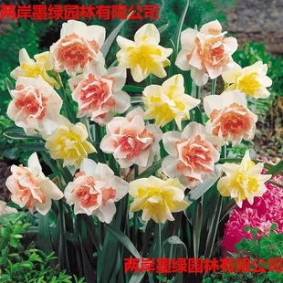 ����ˮ�ɻ��N��ˮ�Bˮ������ֲ���҃Ȼ����ļ��_�����B�׻��N��