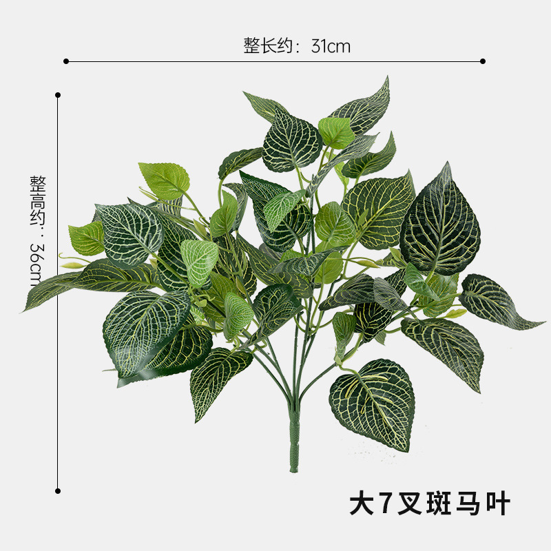큰 7갈래 얼룩말 잎