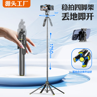 TT19�G�G�U�{�����ėU�����G�ؼ��_���_�������U��sֱ���֙C֧��