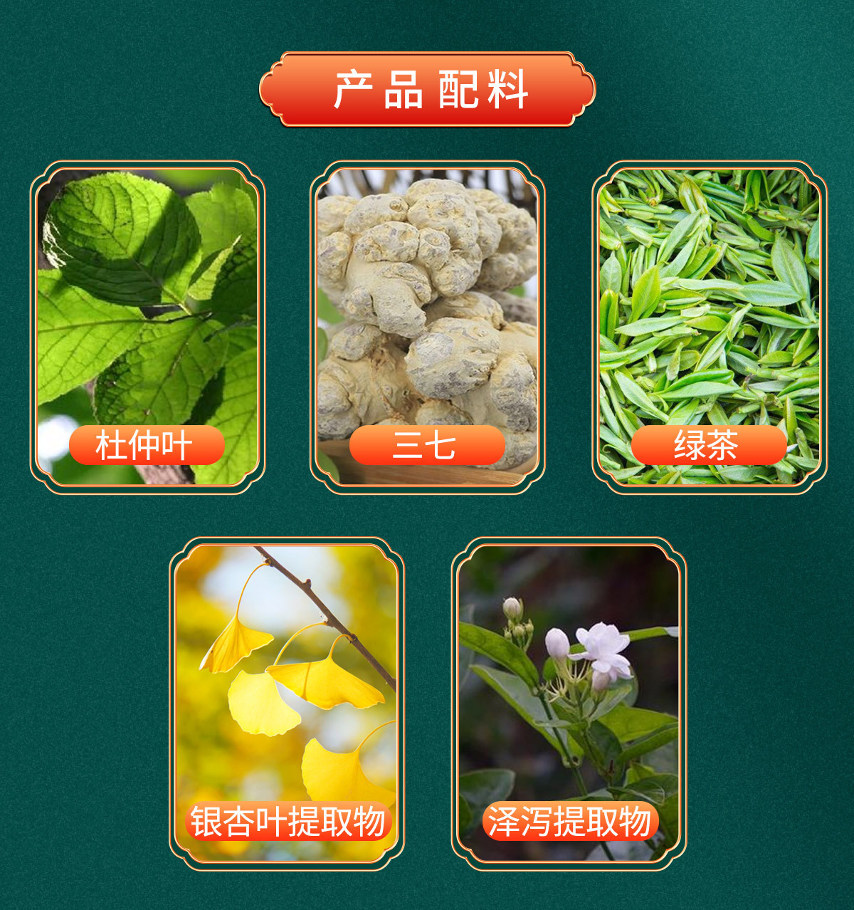 银杏叶杜仲叶三七茶详情页_05