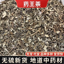 ș������ș�� ��ë�y¶÷ ș���� ������ ���ɲ� ����÷ ���l���l