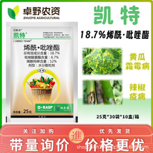 ˹P 18.7%ϩѾ߲˪ùrș