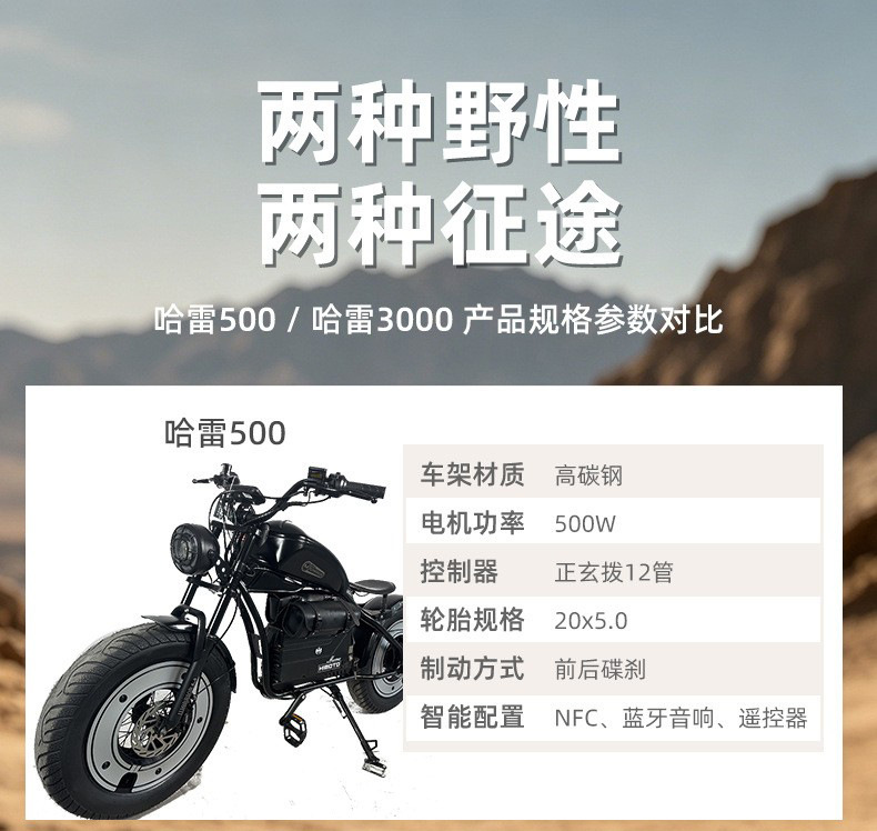 Harley-style retro electric motorcycle with wide tires, high-power electric bike, black, can carry passengers, two-wheeled electric vehicle