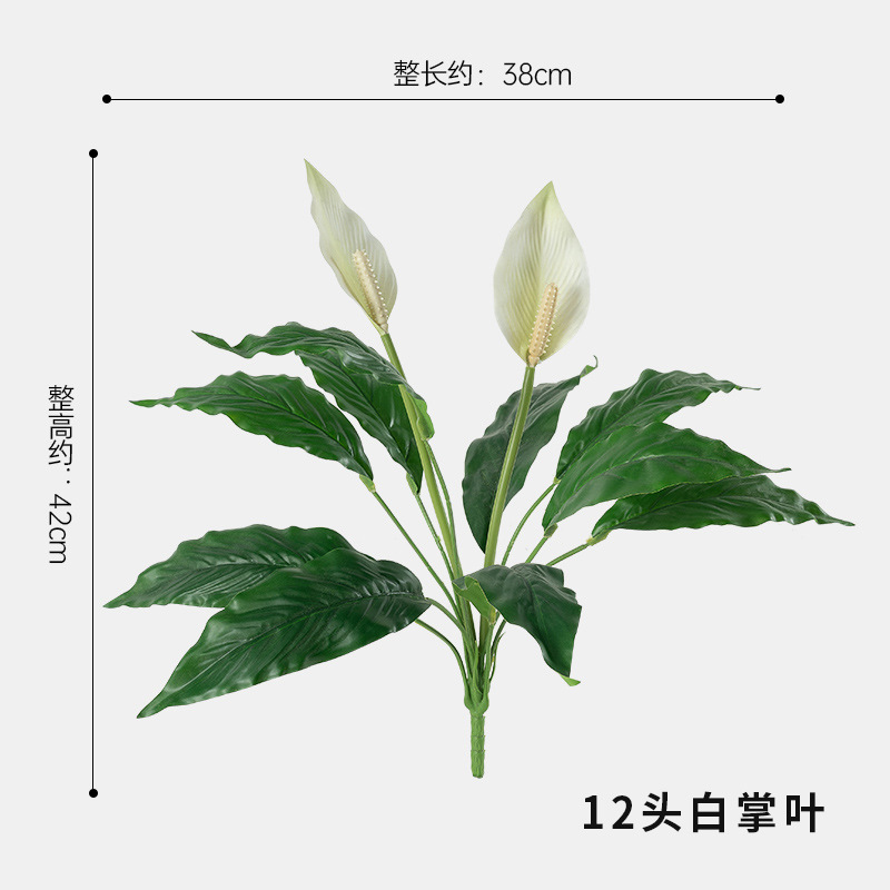 흰 야자잎 12개