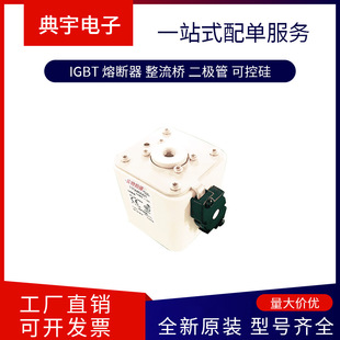 Fuse 170m6508 6509 6510 6511 6512 6513 6514 Complete Models