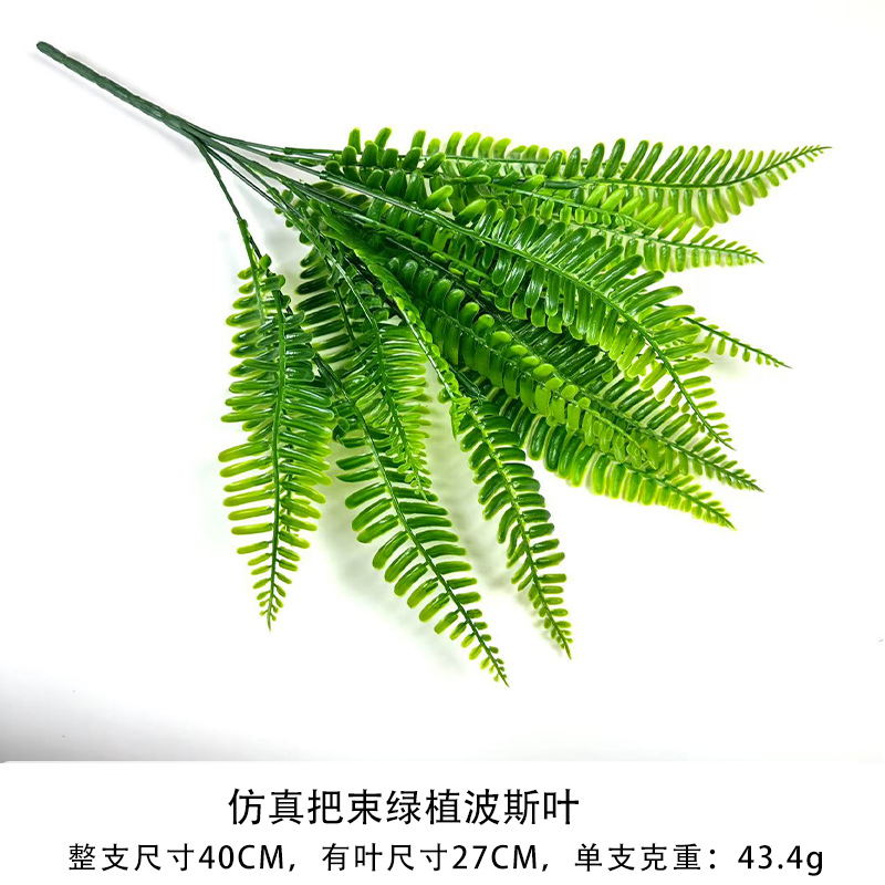 녹색 페르시아 잎의 시뮬레이션 묶음