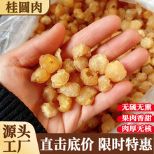 新货桂圆肉干自然晒干无熏硫广西博白无核龙眼肉干整箱散装拿货