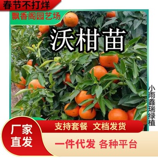 �ʵ۸��� ���ڵc�ʵ۸̘���ؕ�������������Ә���ɰ���٘���