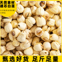 ��؛��������ɏ���r���ֹ�ȥƤȥо��ɏ�ӟoо��ɏɏ�Ӹ�؛250g