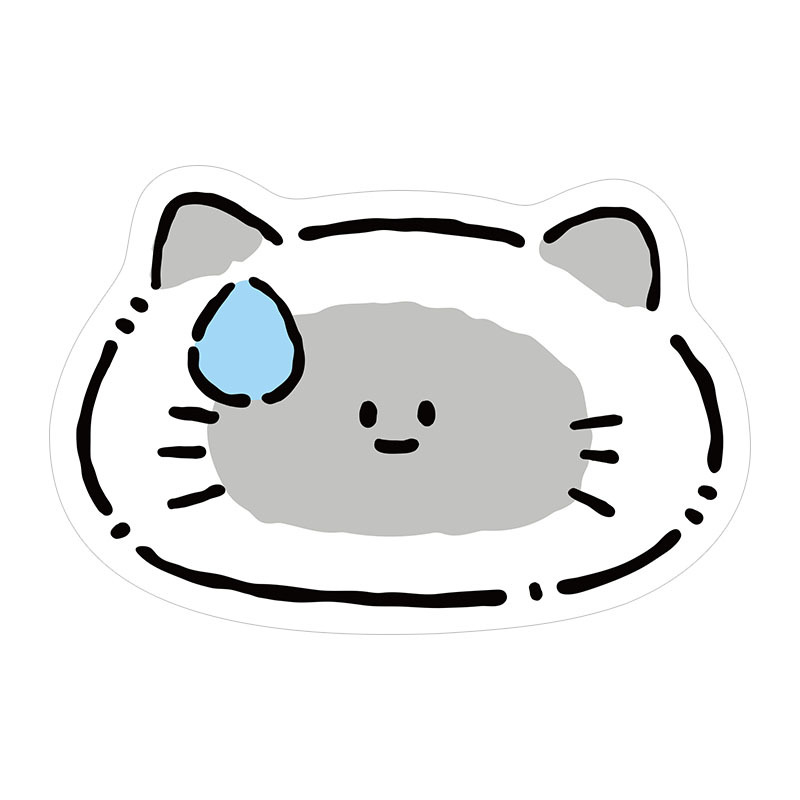 땀을 흘리는 고양이