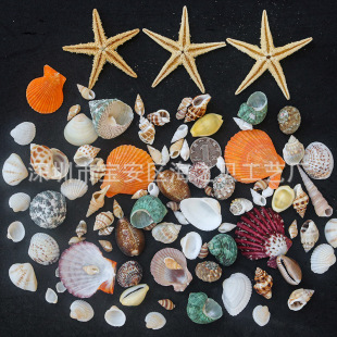 �x����Ȼ��ؐ��С���Ǻ���ؐ����ˇƷ�b��ֹ�diy΢���^���ϔ[��