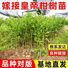 ����ֱ�l�ʵ۸̘����Ϸ��Nֲ�޽�ؕ���٘���V��������Ә���