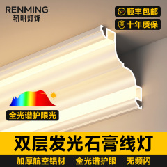 明装一体石膏線形ライト アルミ合金製 模造石膏線形ライト 埋め込み不要のライン型ライト 装飾ストリップ ダブルアイペイプ