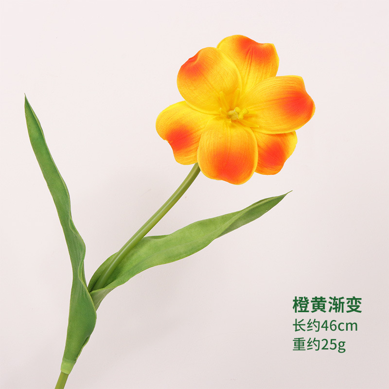 선셋 레드 35cm