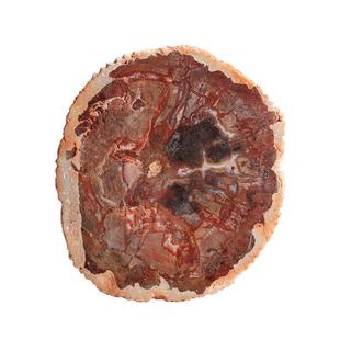 ��Ȼľ����ԭʯ��Ƭ8-15cm�˱�ʯ�仯��豭�|�Ҿӏ͹��b[��