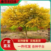 һ�����l���ڽ����֮���S�������G���辰�ձ��ļ��t�~�������u