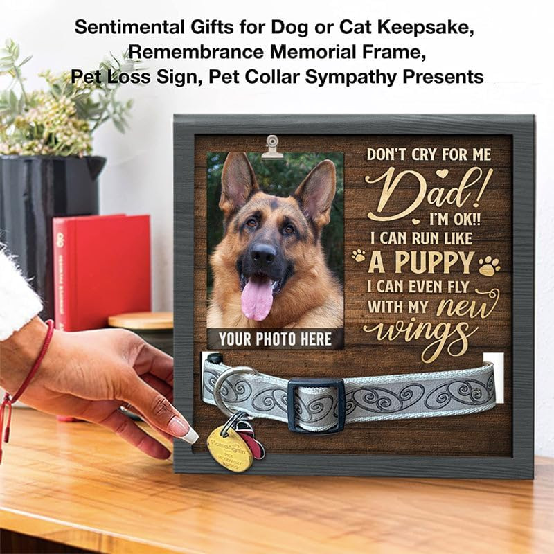Marco DE FOTOS conmemorativo para mascotas de madera puede contener collar Mesa tridimensional marco de fotos para mascotas regalo perdido para mascotas de madera
