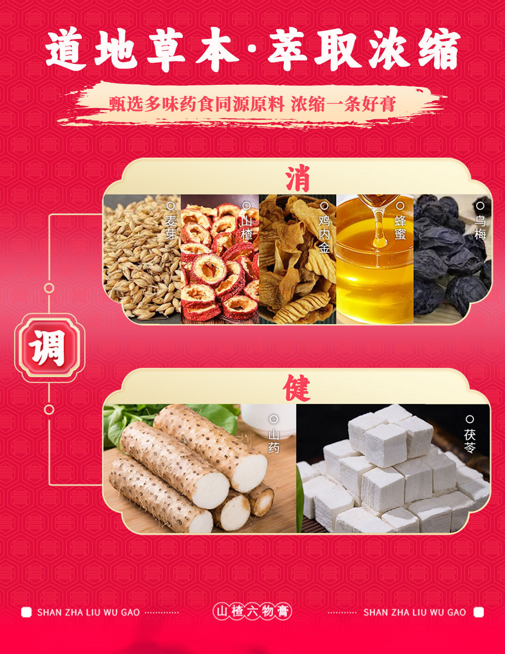 Hawthorn Six-Herb Paste (Shan Zha Liu Wu Gao) — Traditional Herbal Paste with Jinei Jin, 160g key features
