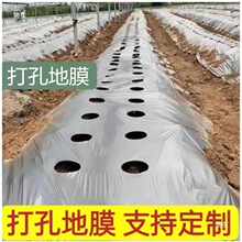 ��׺ڵ�Ĥũ����ֲ��ʪ�������׿���С�и����͸��������߲�