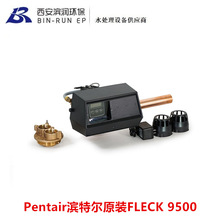 �I�ؠ�Pentair ԭ�bFLECK���R���y9500 ����9�� �M��ˮ��1.5��