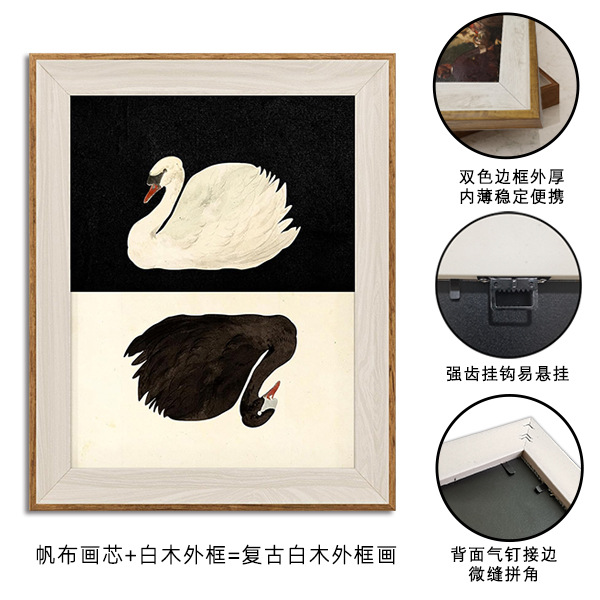 흑백 백조 (30) 프레임 백