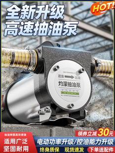 Electric Oil Pump 12V24V Universal 220V Diesel Pump Small Refueling Machine Oil Pumping Machine Self-Priming Pump Oil Suction