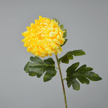 ���渻�F�Ն�֦�ҾӾƵ���ؔ[�����^���������뻨�@�廨�zӰ����