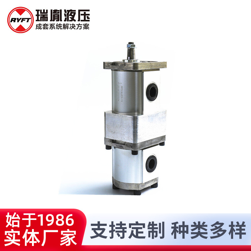 瑞胤 2BDPF可组合式高转速高压力 双联齿轮泵