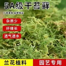 干苔藓水苔纯天然青苔兰花蝴蝶兰石斛营养土爬宠乌龟仓鼠垫材造景