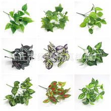 �Gֲ��������ֲ������ݼٻ��~�ӻ�c�͏d�����b����lD