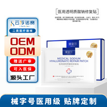 �Ȋ��t��͸���|���c�ޏ��N���е��̖�t���g�������o�����澏