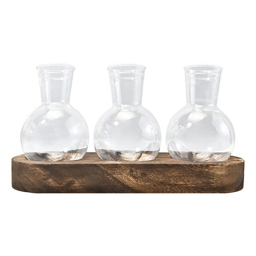 Circular Acrylic Planter with Water Cultivation Green Plant Office Living Room Decor Wooden Base Transparent Plant Pot Ornament